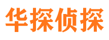 靖安市侦探公司